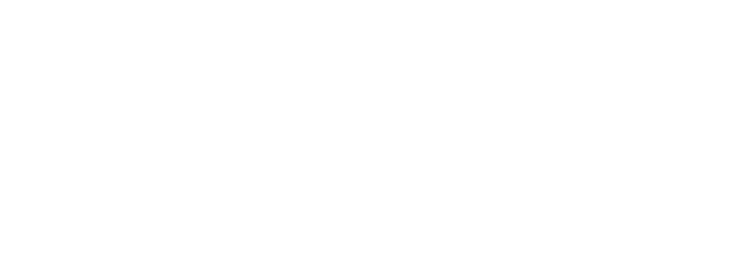 WMD Guns